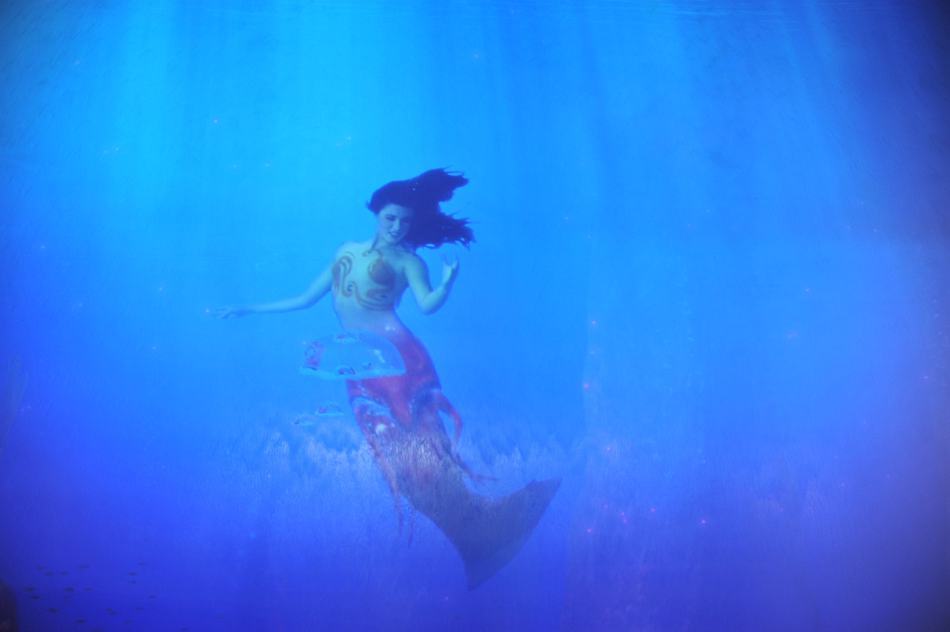 澳門(mén)美人魚(yú)，神秘魅力與傳說(shuō)，澳門(mén)神秘美人魚(yú)，魅力與傳說(shuō)揭秘