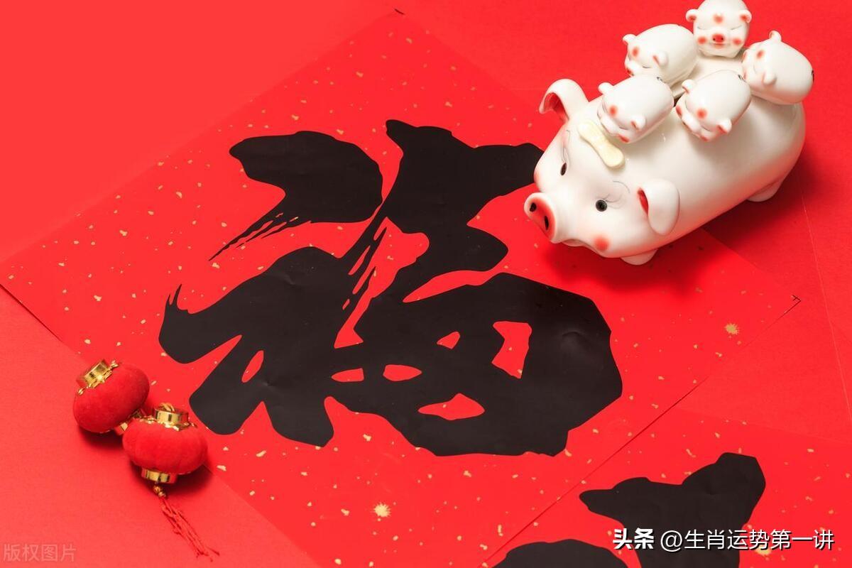 揭秘2025年生肖表圖，洞悉未來(lái)運(yùn)勢(shì)走向，揭秘未來(lái)生肖運(yùn)勢(shì)，2025年生肖表圖洞悉運(yùn)勢(shì)走向