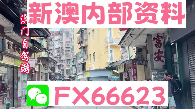 新澳精準(zhǔn)資料大揭秘，免費(fèi)提供的力量，新澳精準(zhǔn)資料揭秘，免費(fèi)提供的力量之源