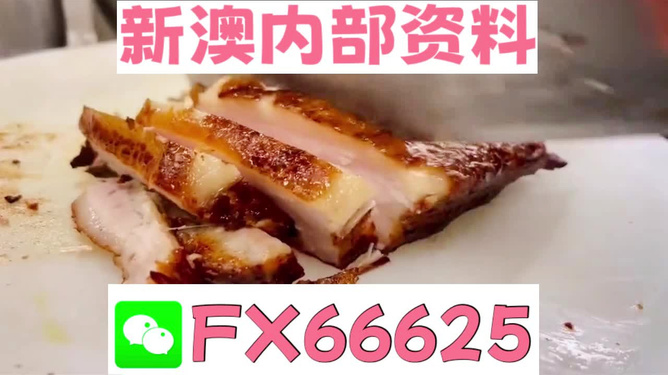 新奧長期免費資料大全，一網(wǎng)打盡所有你需要的知識，新奧長期免費資料大全，一站式獲取所有所需知識