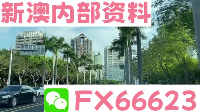 新澳精準資料大放送，免費提供的價值所在，新澳精準資料大放送，免費價值的體現(xiàn)
