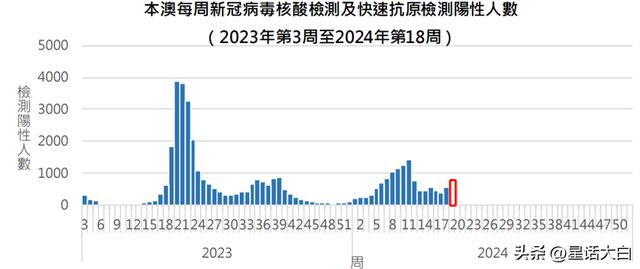 揭秘2025年新澳門王中王開獎結果，揭秘，2025新澳門王中王開獎結果揭曉