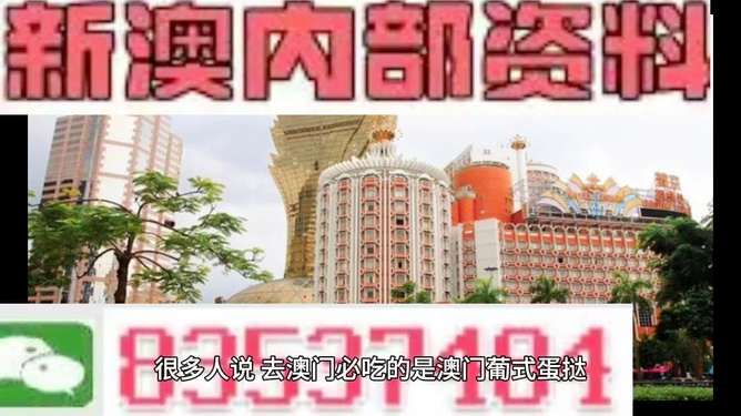 澳門(mén)免費(fèi)精準(zhǔn)資料，探索與揭秘，澳門(mén)免費(fèi)精準(zhǔn)資料揭秘探索之旅