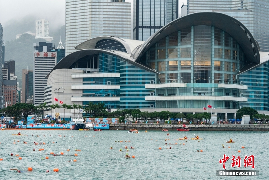 香港正版資料下載的熱門趨勢與實用指南，香港正版資料下載的熱門趨勢與實用指南概覽