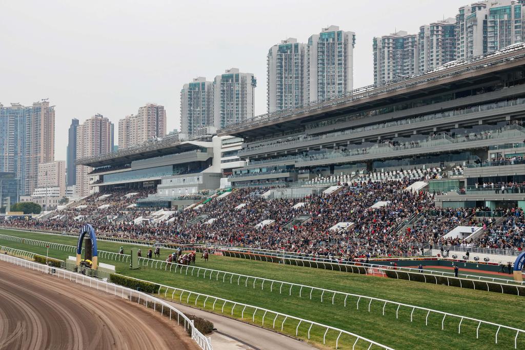 關(guān)于香港今晚開(kāi)特馬的分析與預(yù)測(cè)（一），香港今晚特馬分析與預(yù)測(cè)（一）