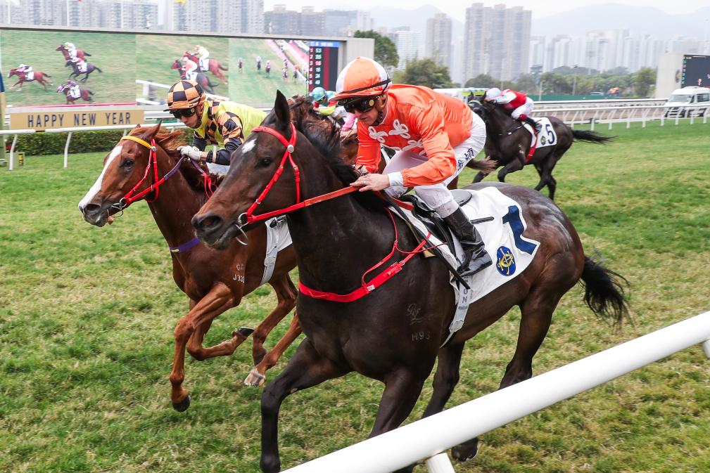 揭秘香港今晚特馬開彩背后的故事，2025年的期待與狂歡，香港特馬開彩背后的故事，2025年的期待與狂歡之夜