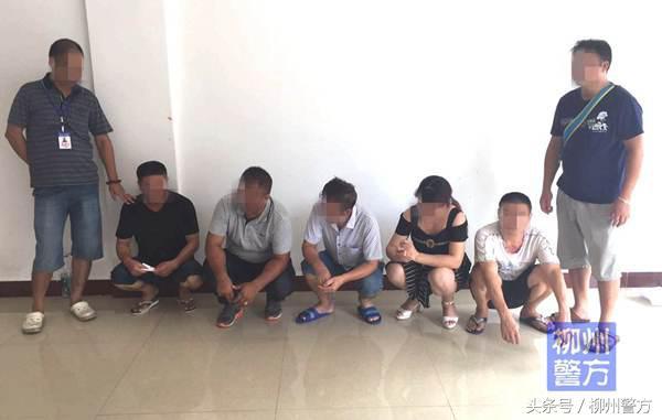 港澳六開彩開獎結(jié)果歷史數(shù)據(jù)解析，港澳六開彩開獎結(jié)果歷史數(shù)據(jù)深度解析