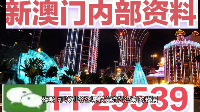 澳門今晚必開一肖一特，揭秘博彩文化背后的秘密，澳門博彩文化揭秘，今晚必開一肖一特探尋背后的秘密