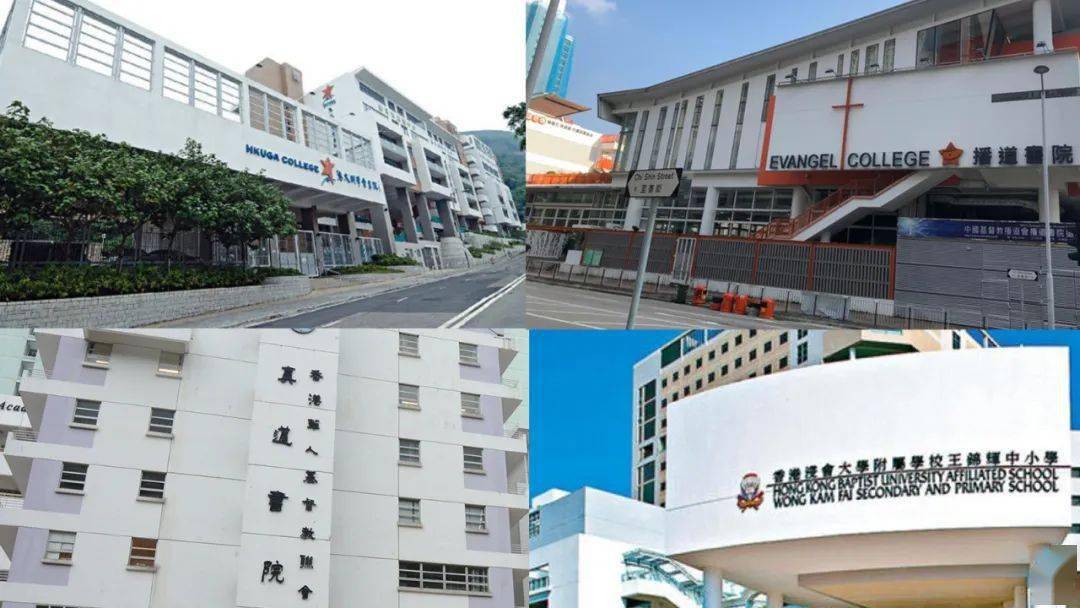 香港免費(fèi)公開資料大全，一網(wǎng)打盡資源寶藏，香港資源寶藏，免費(fèi)公開資料一網(wǎng)打盡