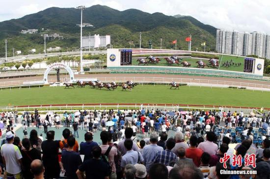 香港資料大全——正版資料手機下載攻略，香港資料大全，正版資料手機下載攻略