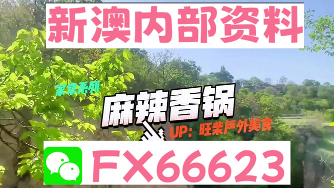 新澳精準資料大揭秘，免費提供的價值與影響力，新澳精準資料揭秘，免費提供的價值與影響力不容小覷