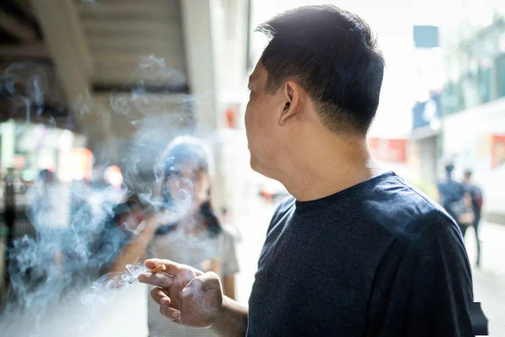 白小姐三期必出一肖種特解密與探討，白小姐三期必出一肖種特揭秘與解析