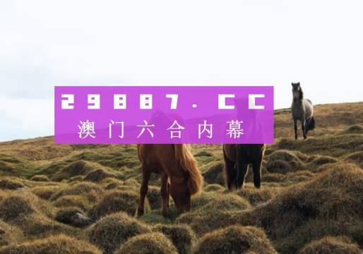 今日新澳門開獎記錄全解析，澳門今日開獎記錄全解析
