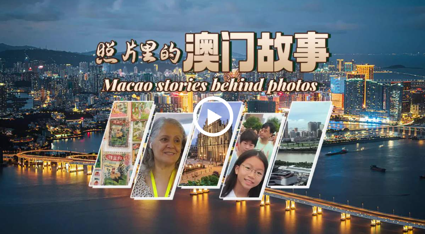澳門正版資料免費大全新聞最新大神，一網(wǎng)打盡最新資訊，澳門正版資料免費大全，最新新聞與資訊匯總
